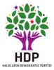 Parteilogo der HDP